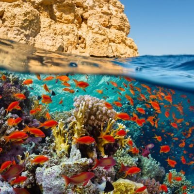 Hurghada